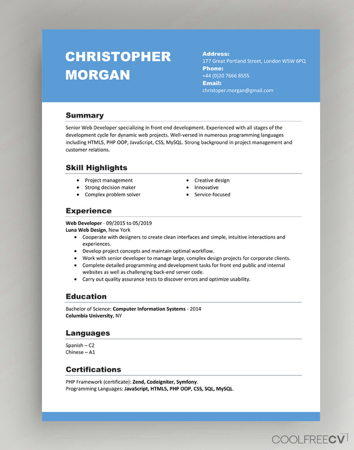 Detail Curriculum Vitae Template Examples Nomer 3