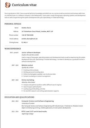 Detail Curriculum Vitae Template Examples Nomer 31