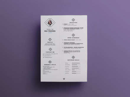 Detail Custom Cv Template Nomer 39