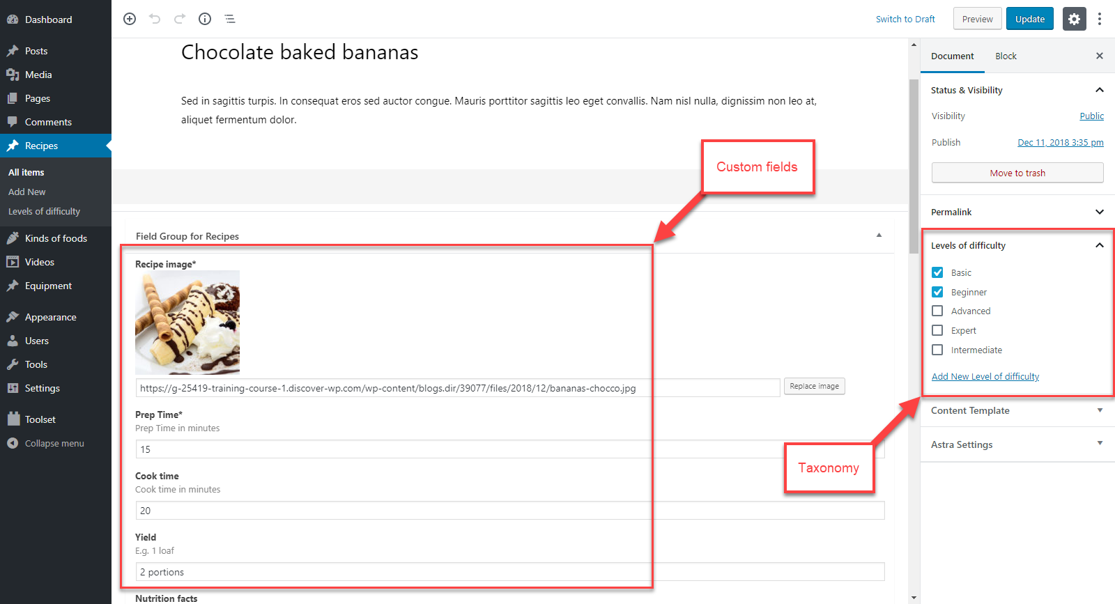 Detail Custom Post Type Taxonomy Template Nomer 2