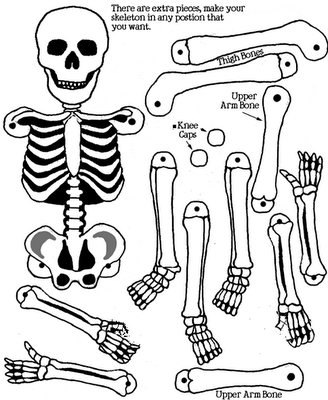 Detail Cut Out Paper Skeleton Template Nomer 16