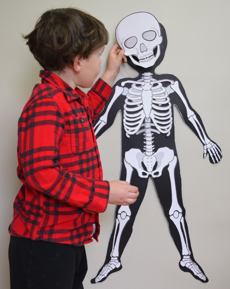 Detail Cut Out Paper Skeleton Template Nomer 30