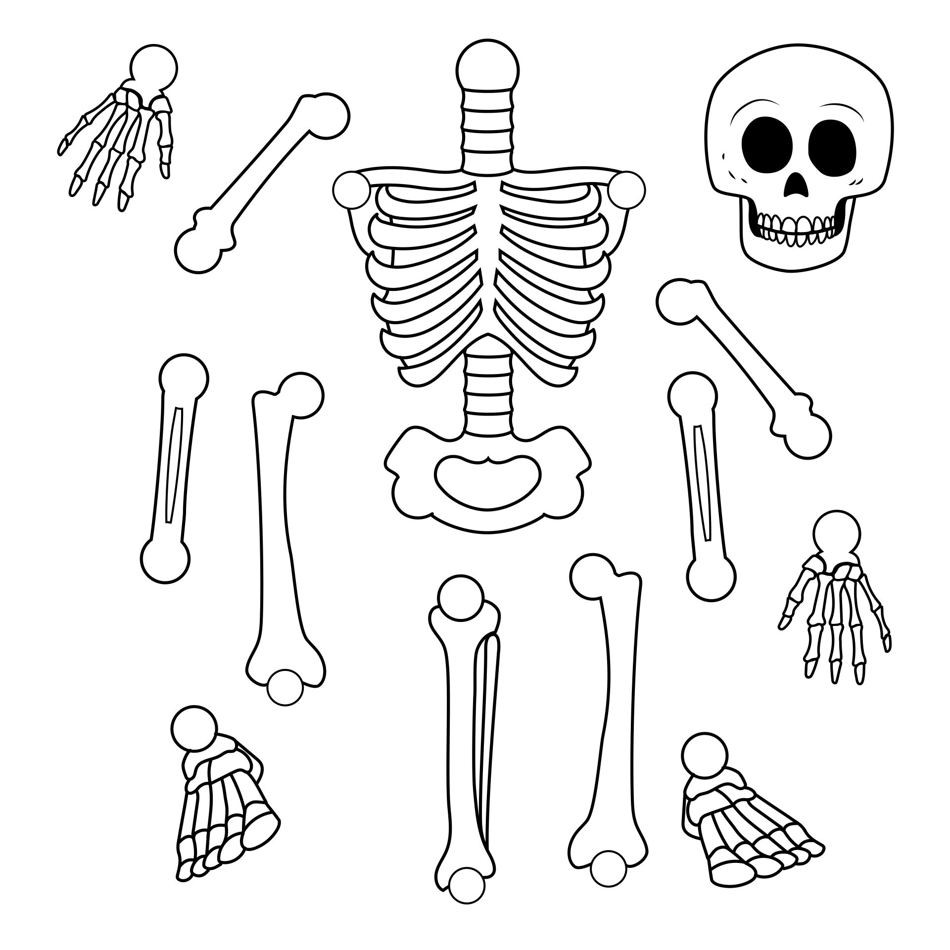 Detail Cut Out Paper Skeleton Template Nomer 5
