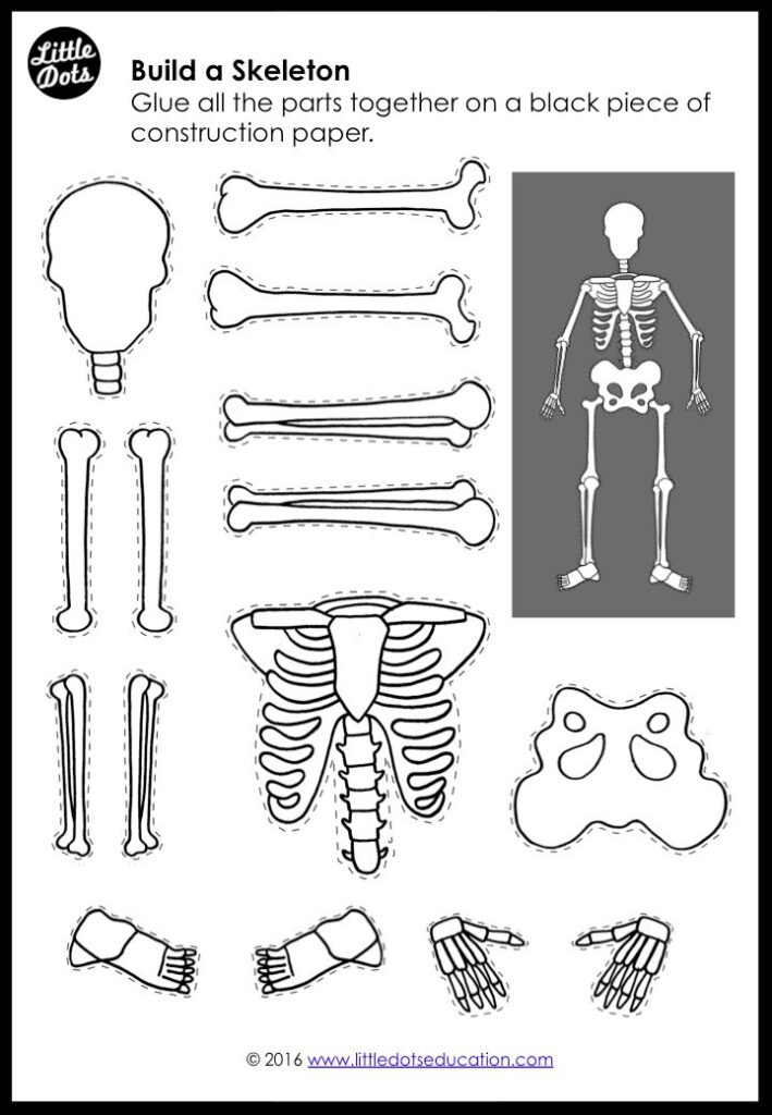 Detail Cut Out Paper Skeleton Template Nomer 35