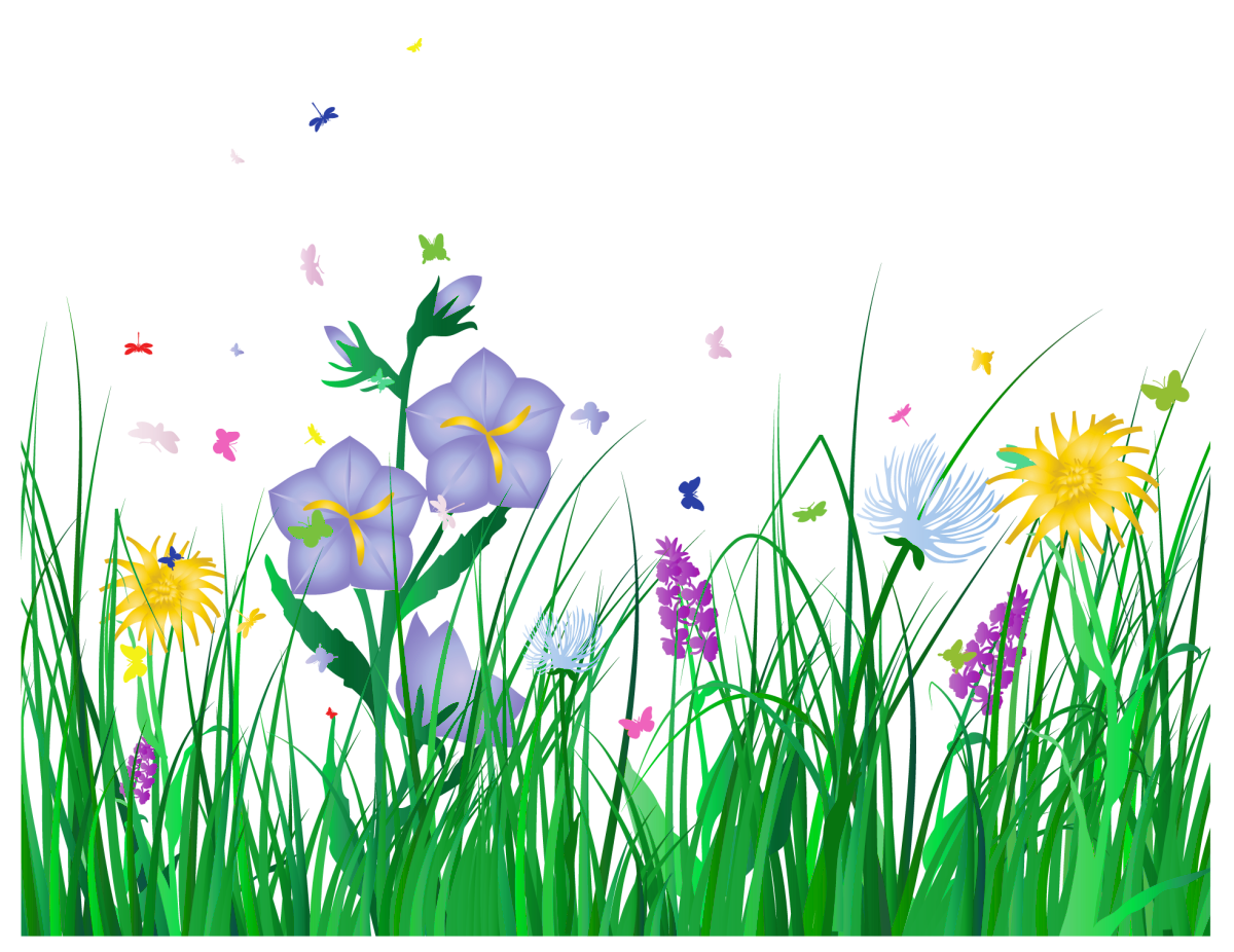 Detail Blumen Clipart Ohne Hintergrund Nomer 7