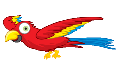 Detail Papagei Gif Nomer 21