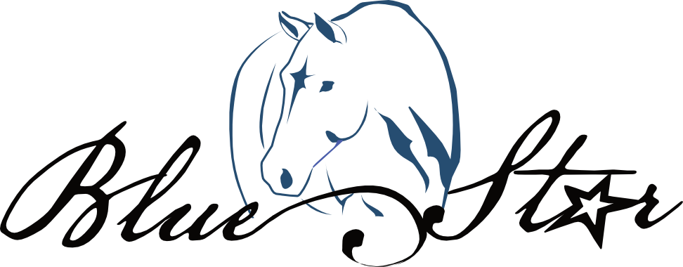 Detail Star Stable Logo Nomer 7