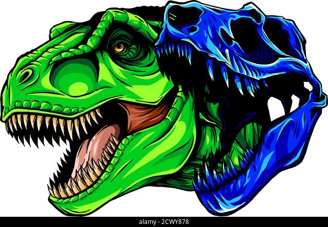 Detail Tyrannosaurus Rex Skull Drawing Nomer 10