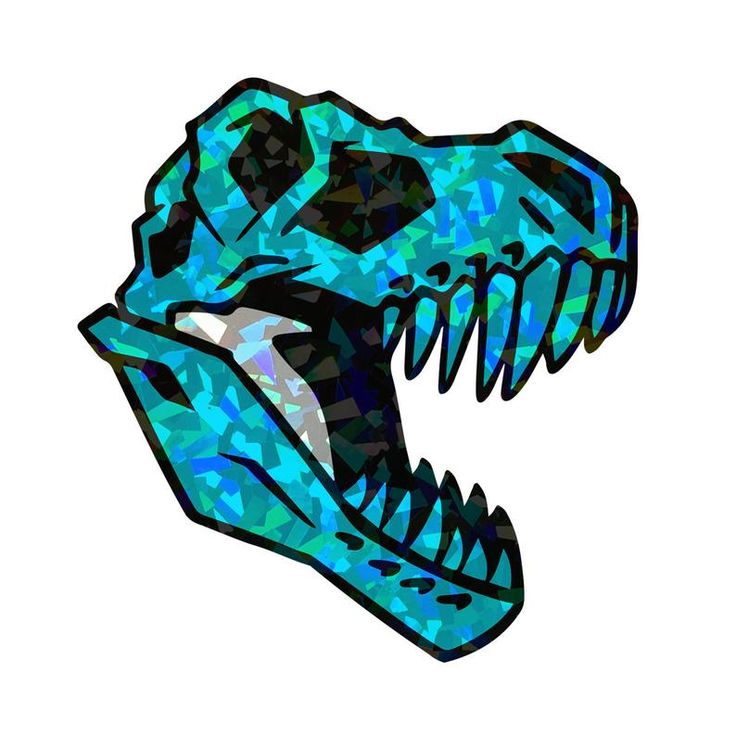 Detail Tyrannosaurus Rex Skull Drawing Nomer 12