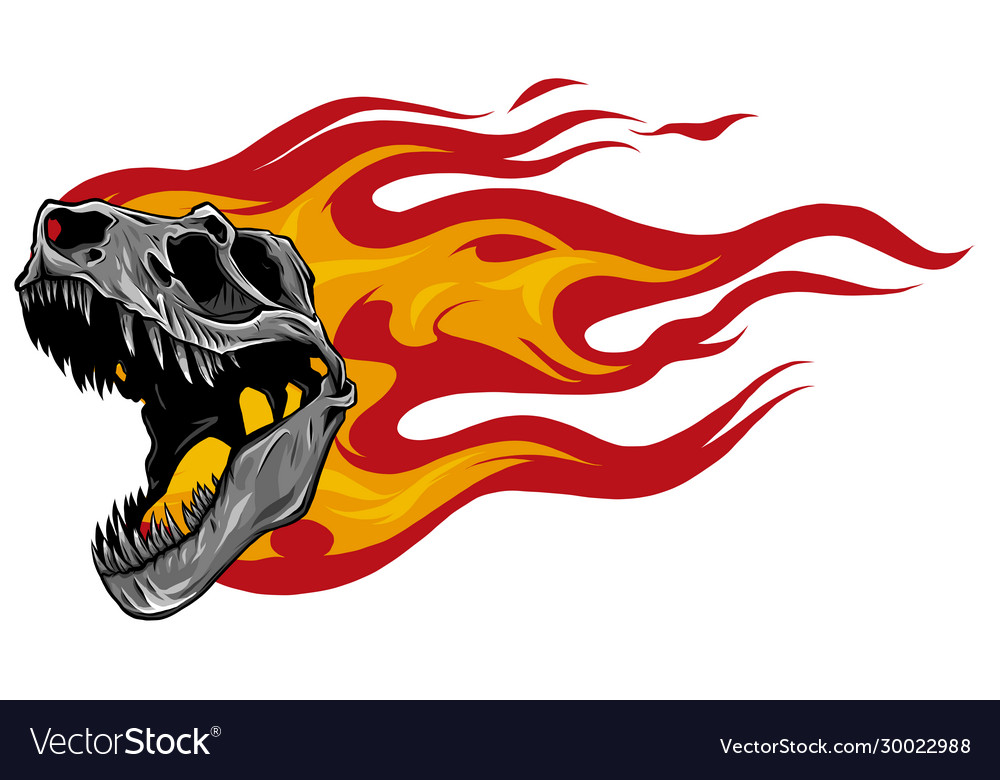 Tyrannosaurus Rex Skull Drawing - KibrisPDR