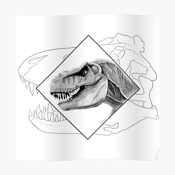 Detail Tyrannosaurus Rex Skull Drawing Nomer 22