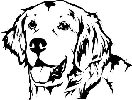 Detail White Retriever Nomer 8