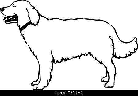 Detail White Retriever Nomer 2