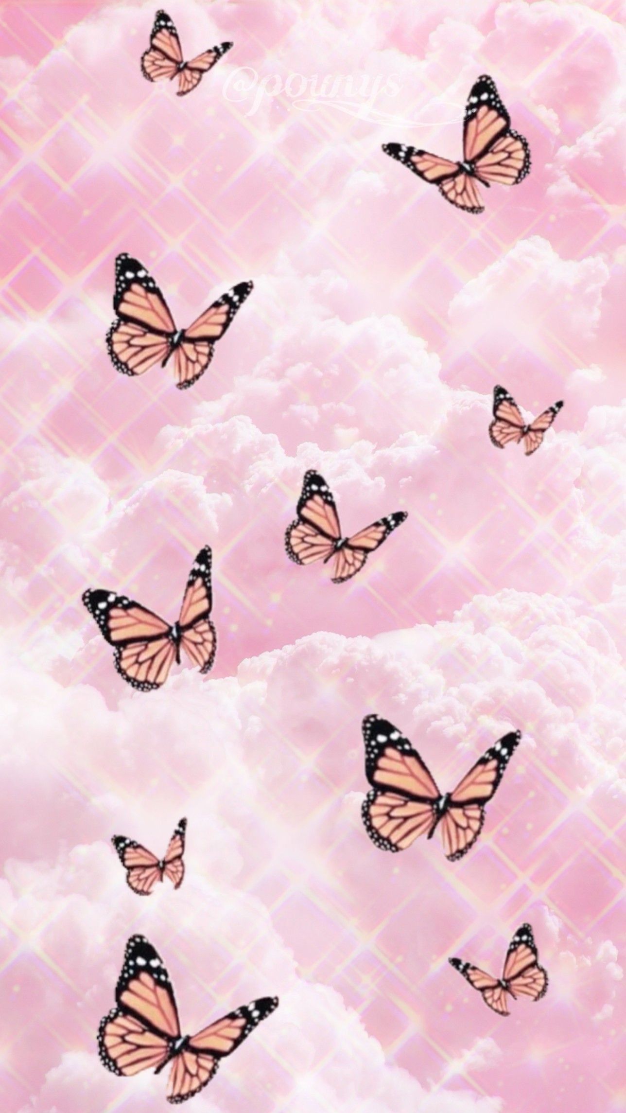 Detail Cute Butterfly Wallpaper Nomer 28