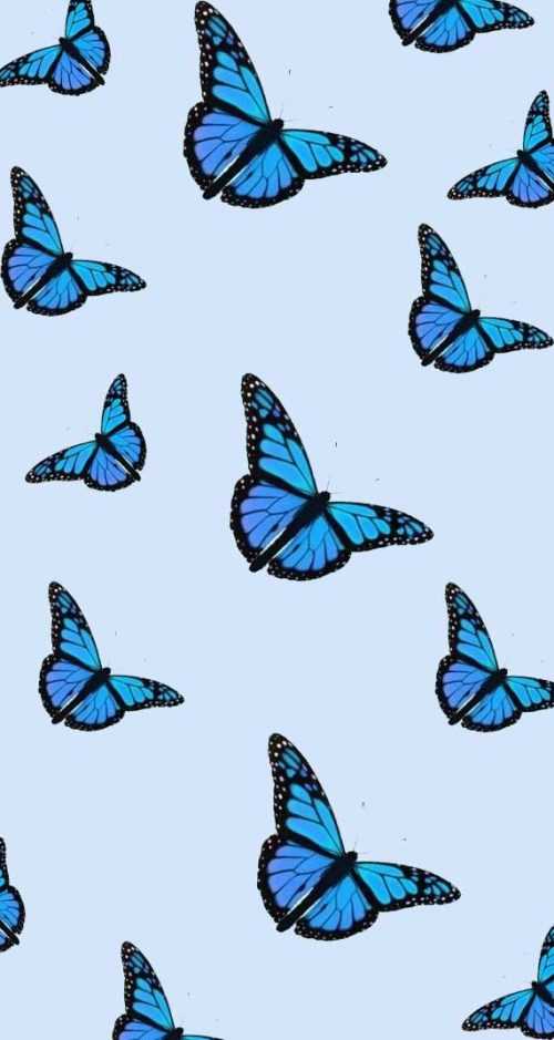 Detail Cute Butterfly Wallpaper Nomer 43