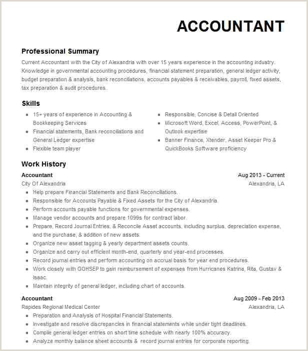 Detail Cv Accounting Template Nomer 13