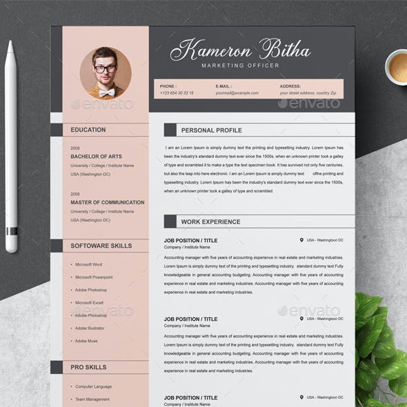 Detail Cv And Portfolio Template Nomer 52