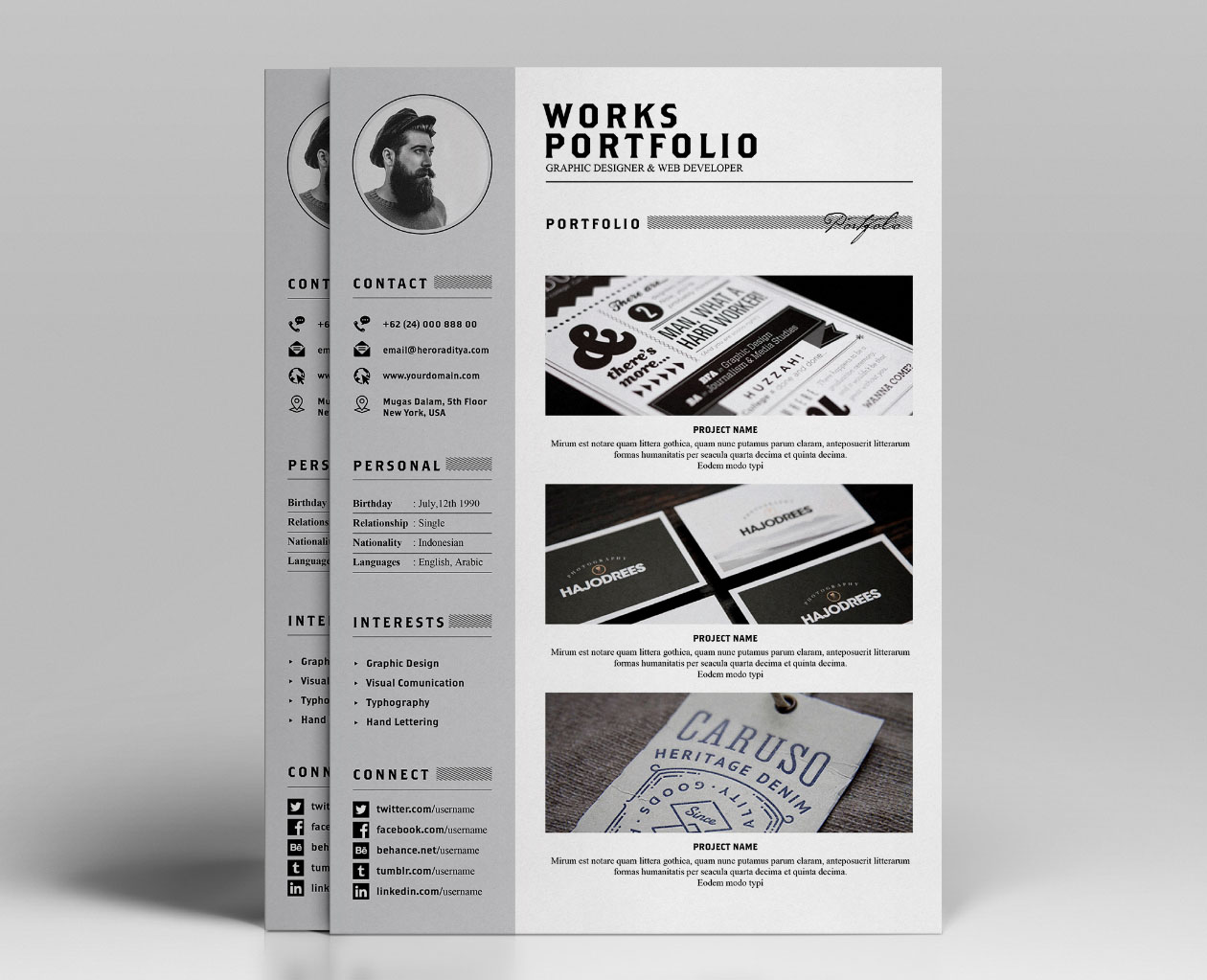 Detail Cv And Portfolio Template Nomer 9