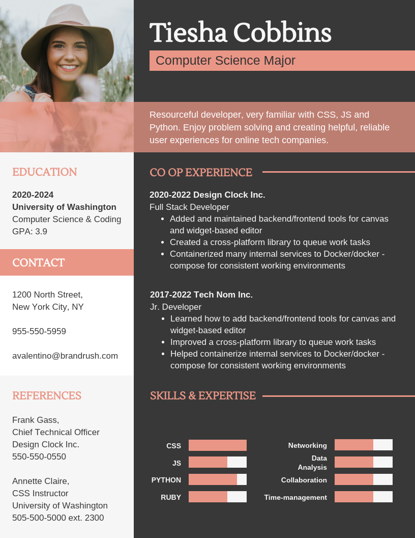 Detail Cv Canva Template Nomer 35