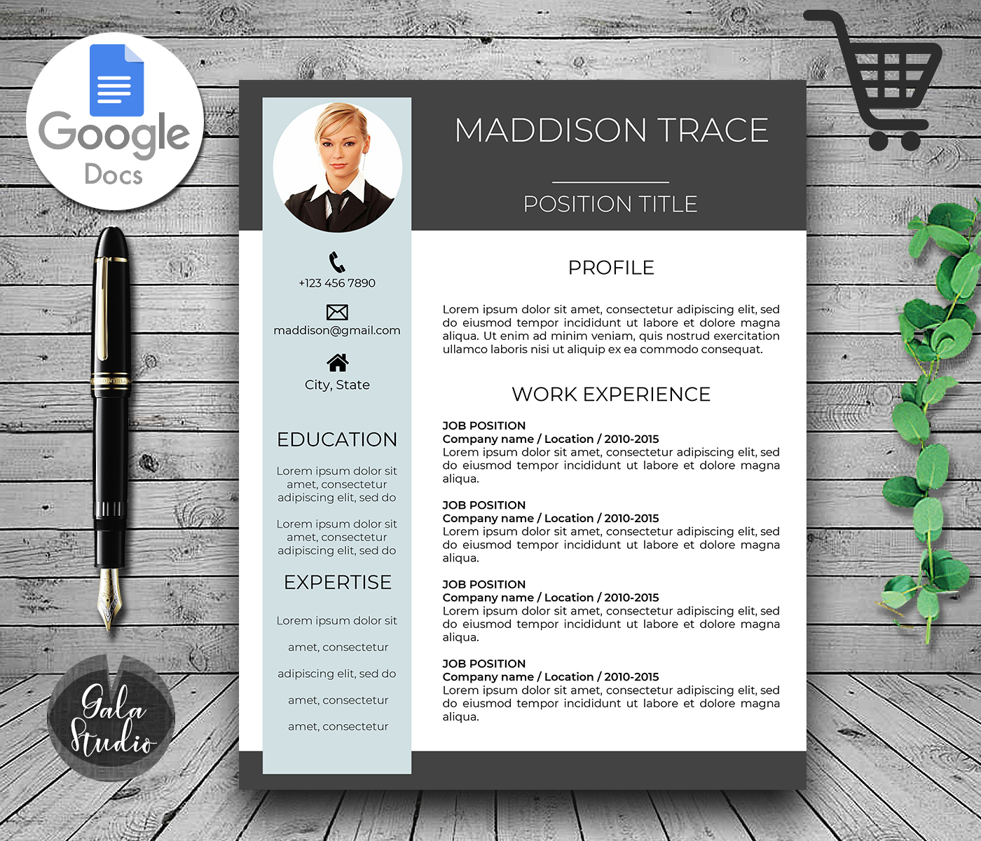 Detail Cv Google Docs Template Nomer 27