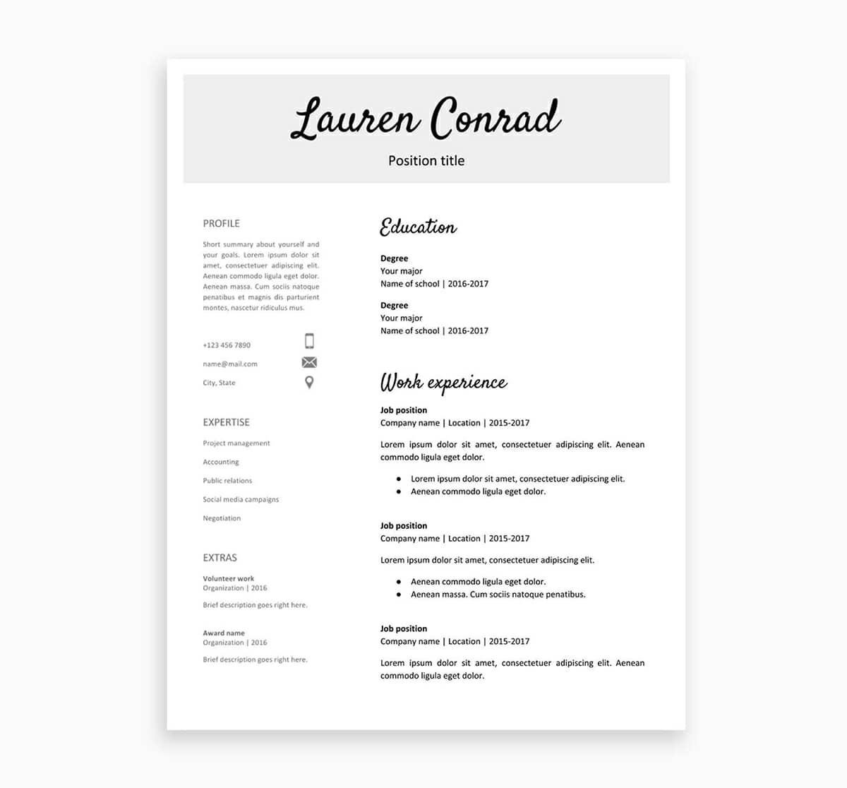 Detail Cv Google Docs Template Nomer 7