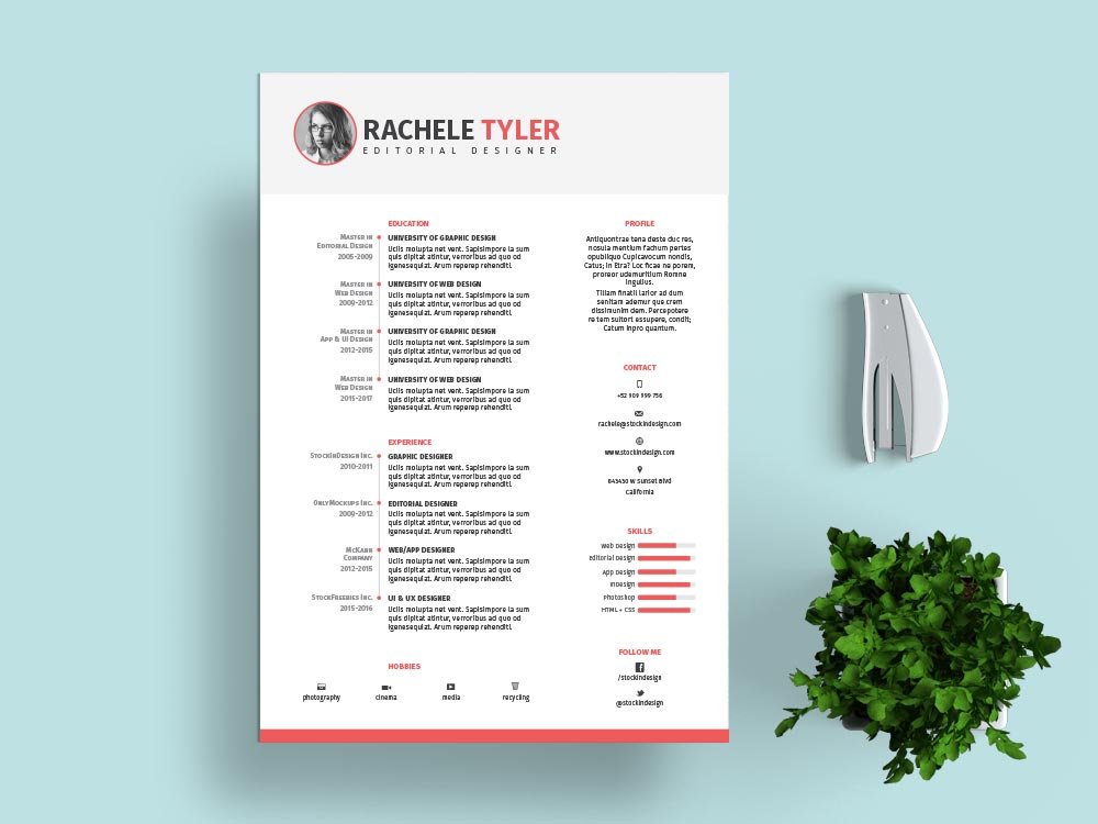 Detail Cv Indesign Template Free Nomer 11