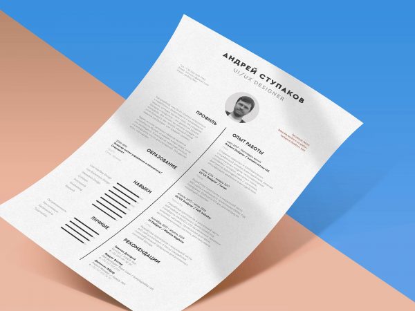 Detail Cv Indesign Template Free Nomer 6