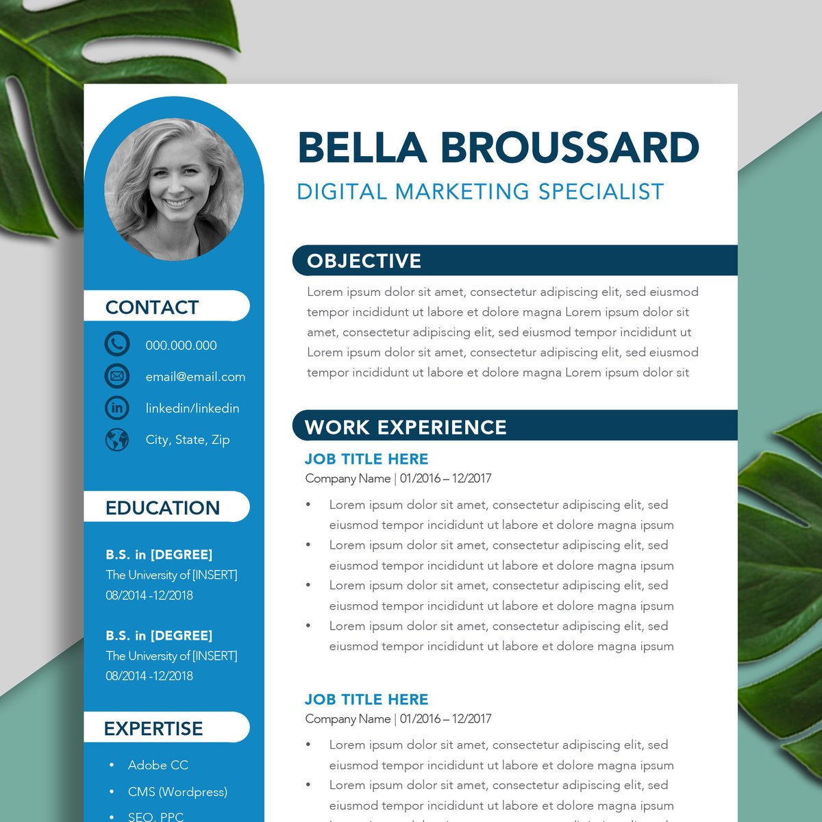 Detail Cv Resume Template Nomer 17