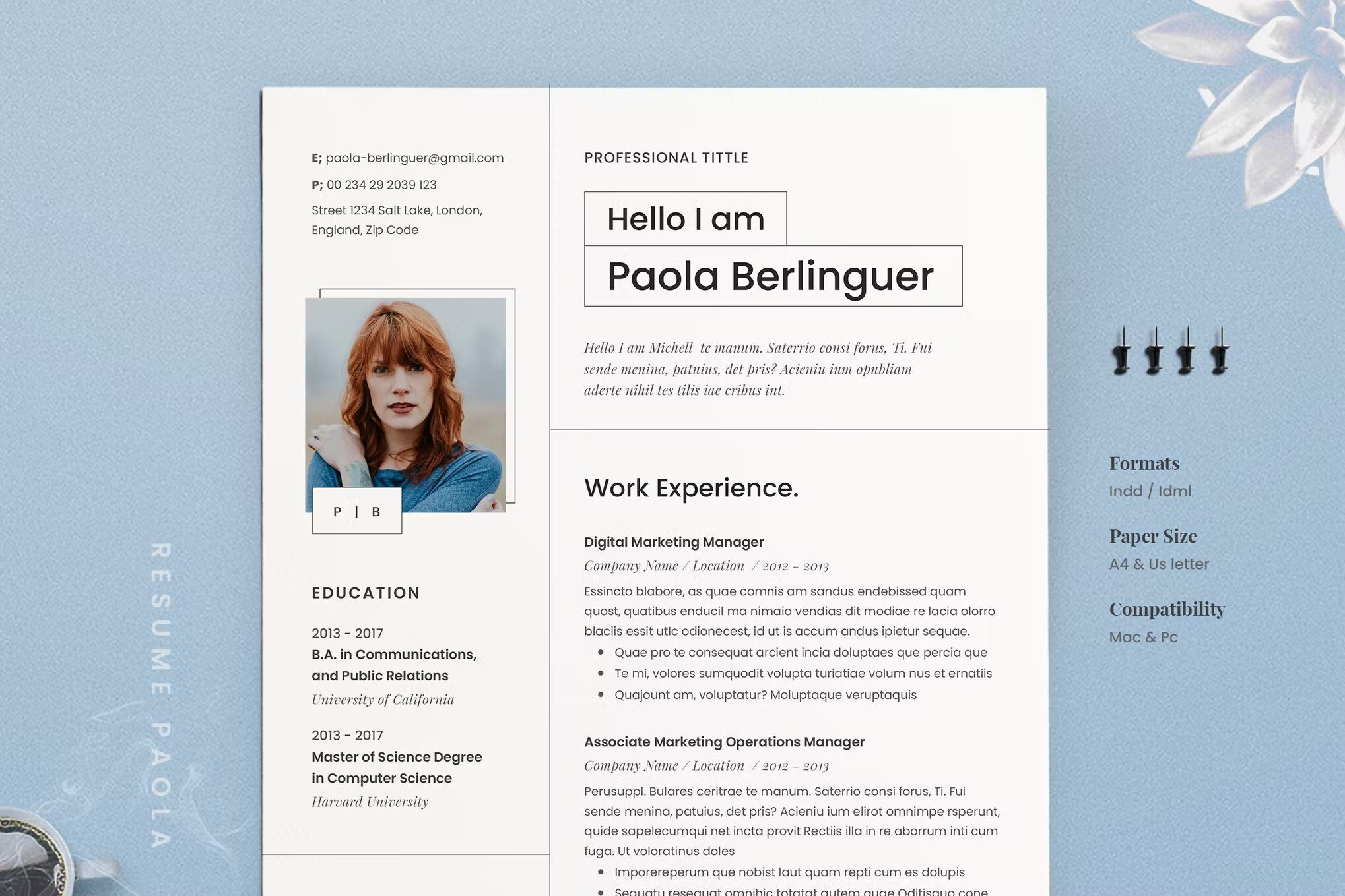 Detail Cv Template Design Nomer 28