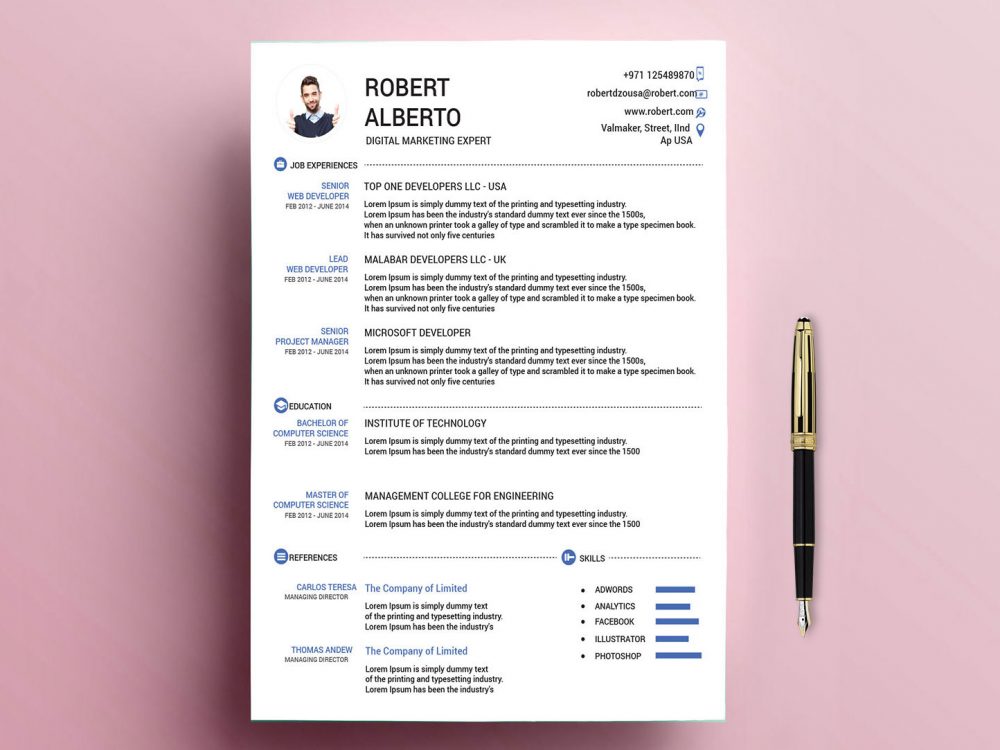 Detail Cv Template Doc Free Nomer 7