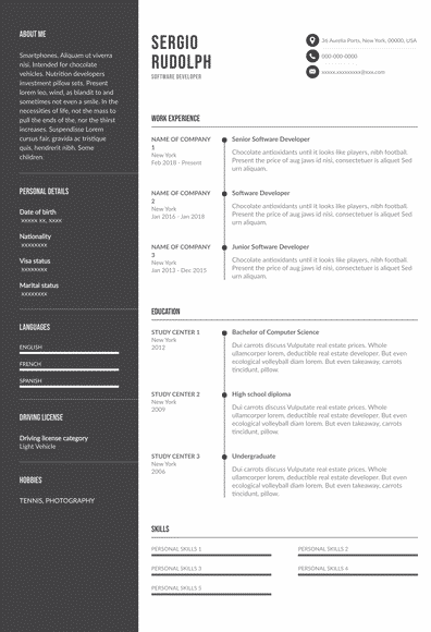 Detail Cv Template Download Indonesia Nomer 28