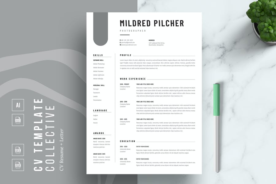 Detail Cv Template Envato Nomer 6