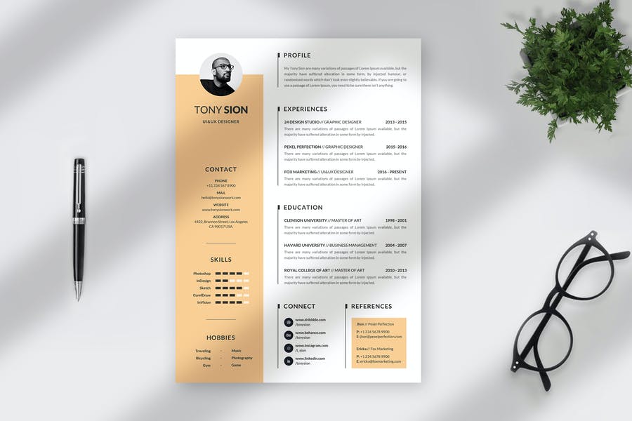 Detail Cv Template Envato Nomer 10