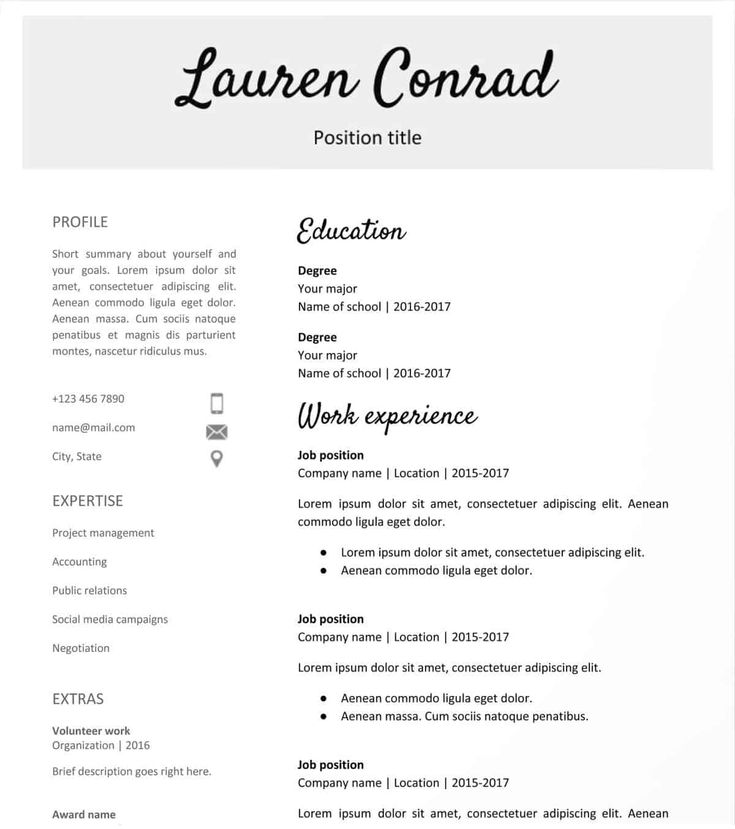 Detail Cv Template Free Google Docs Nomer 48