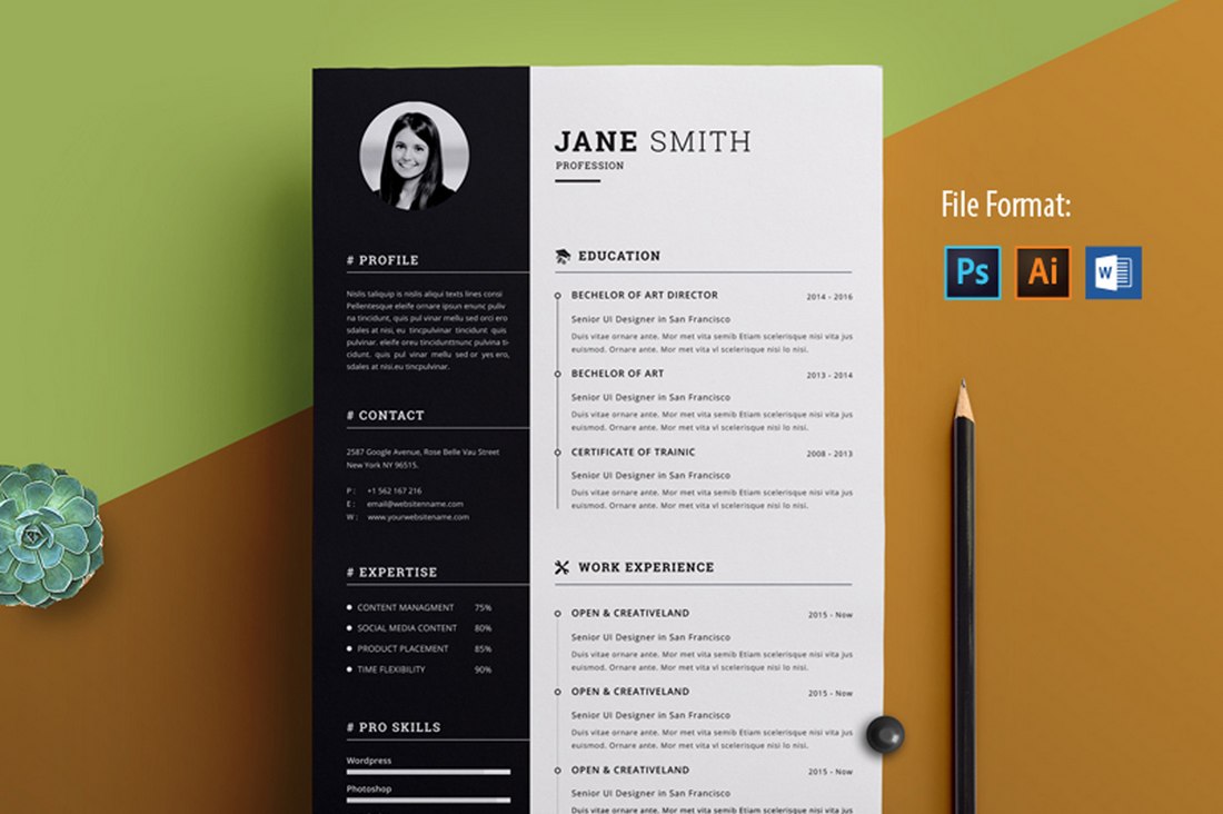 Detail Cv Template Gratis Word Nomer 17