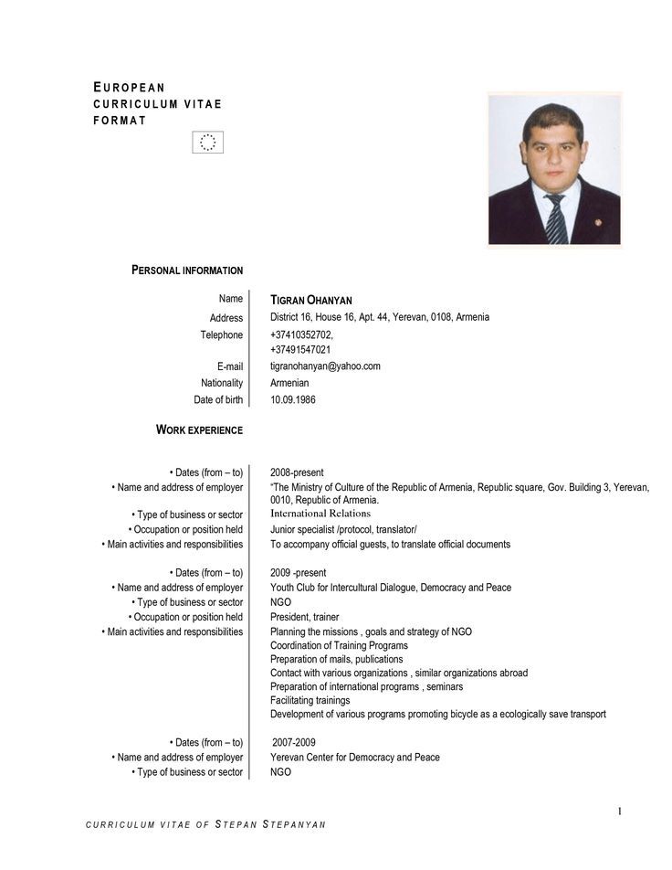 Detail Cv Template In English Doc Nomer 5
