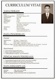 Detail Cv Template Indonesia Nomer 13