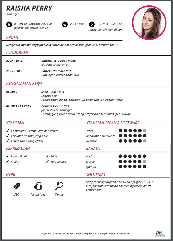 Detail Cv Template Indonesia Nomer 31