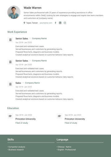 Detail Cv Template Indonesia Nomer 42