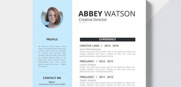 Detail Cv Template Microsoft Publisher Nomer 17