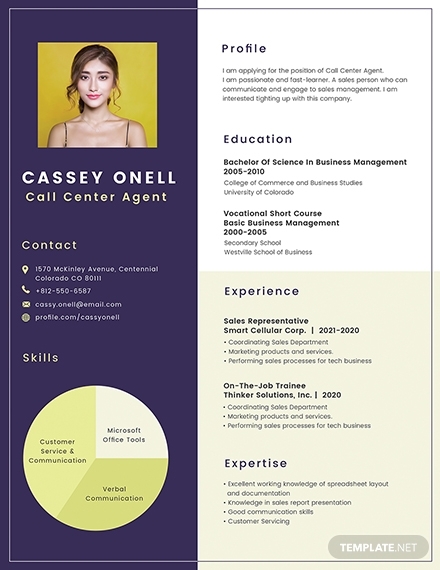 Detail Cv Template Microsoft Publisher Nomer 24