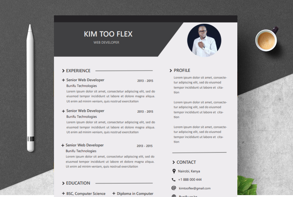 Detail Cv Template Microsoft Publisher Nomer 54