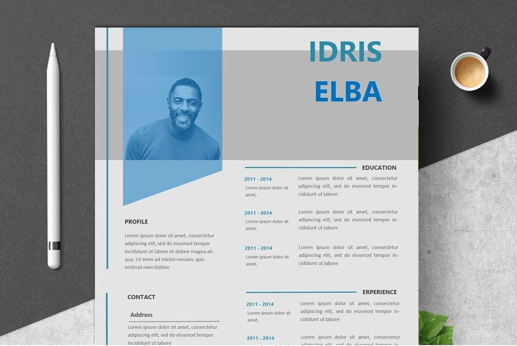 Detail Cv Template Microsoft Publisher Nomer 8