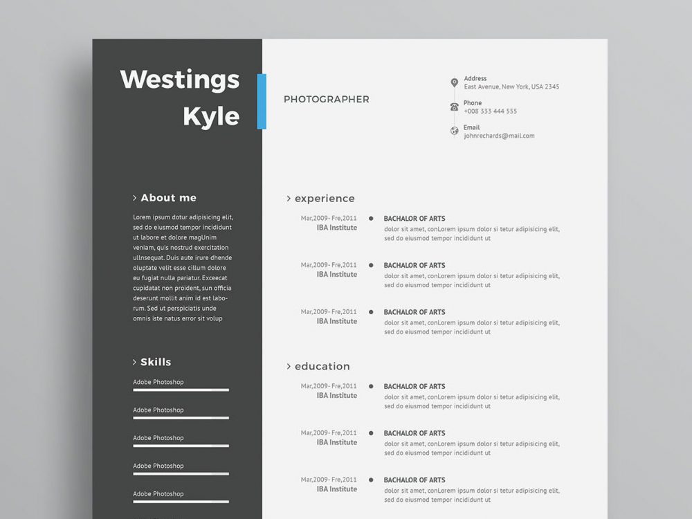 Detail Cv Template Modern Word Free Nomer 20