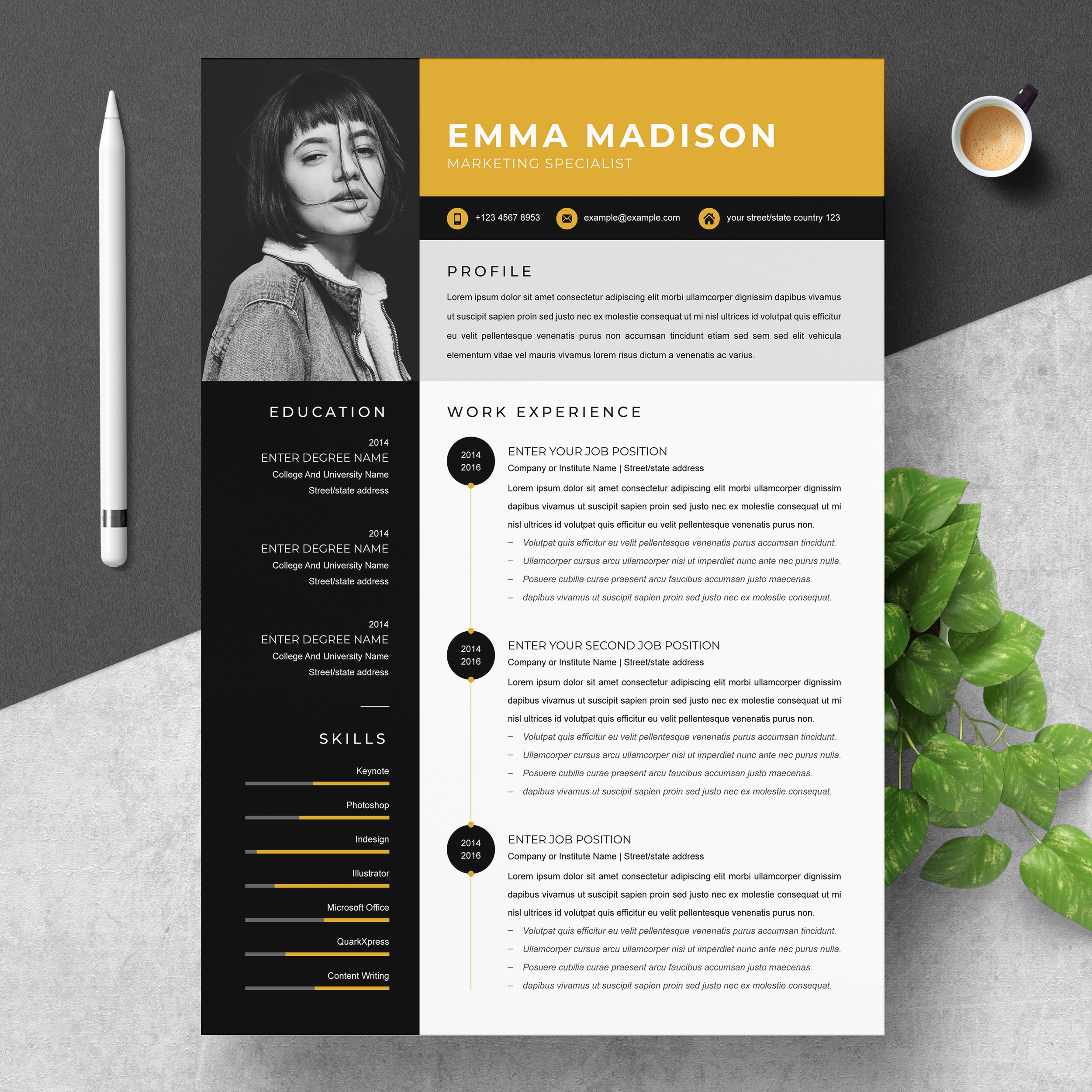 Detail Cv Template Modern Word Free Nomer 45