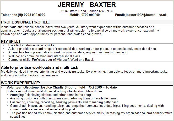 Detail Cv Template Personal Profile Nomer 20