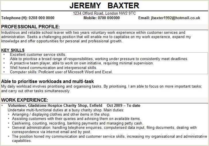 Detail Cv Template Personal Profile Example Nomer 39