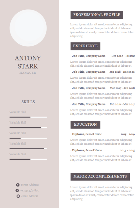 Detail Cv Template Ppt Nomer 42