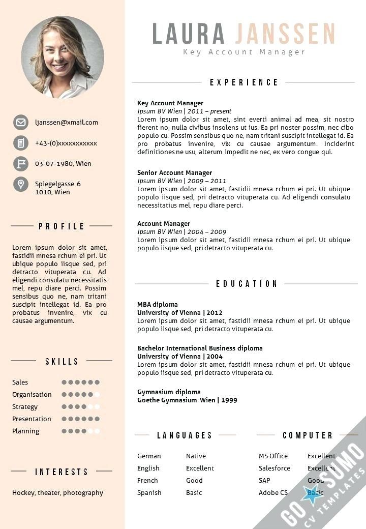 Detail Cv Template With Picture Nomer 24