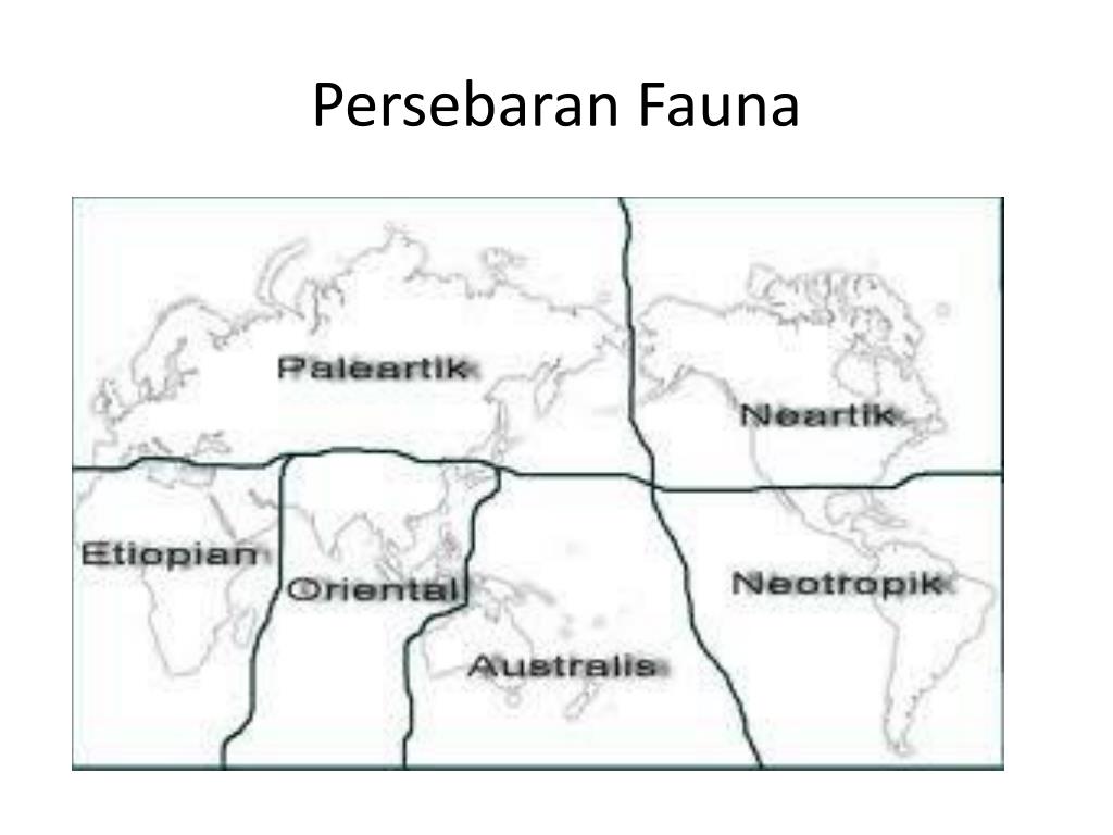 Detail Daerah Persebaran Fauna Neartik Nomer 40